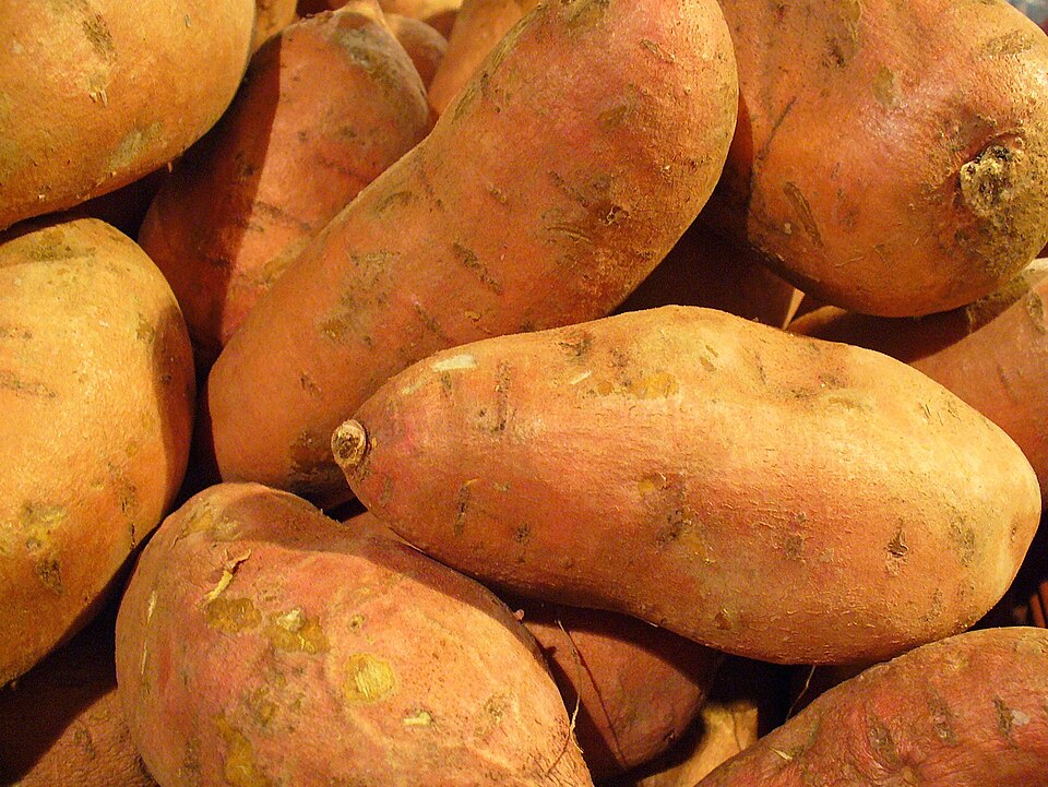 Camote